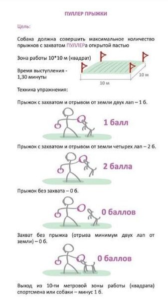  прыжки.jpg